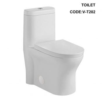 V-T202
