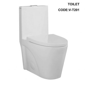 V-T201