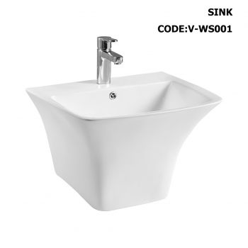 V-WS001