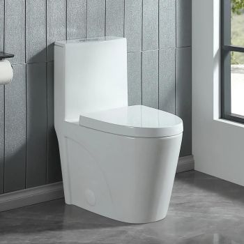 One  Piece Toilet