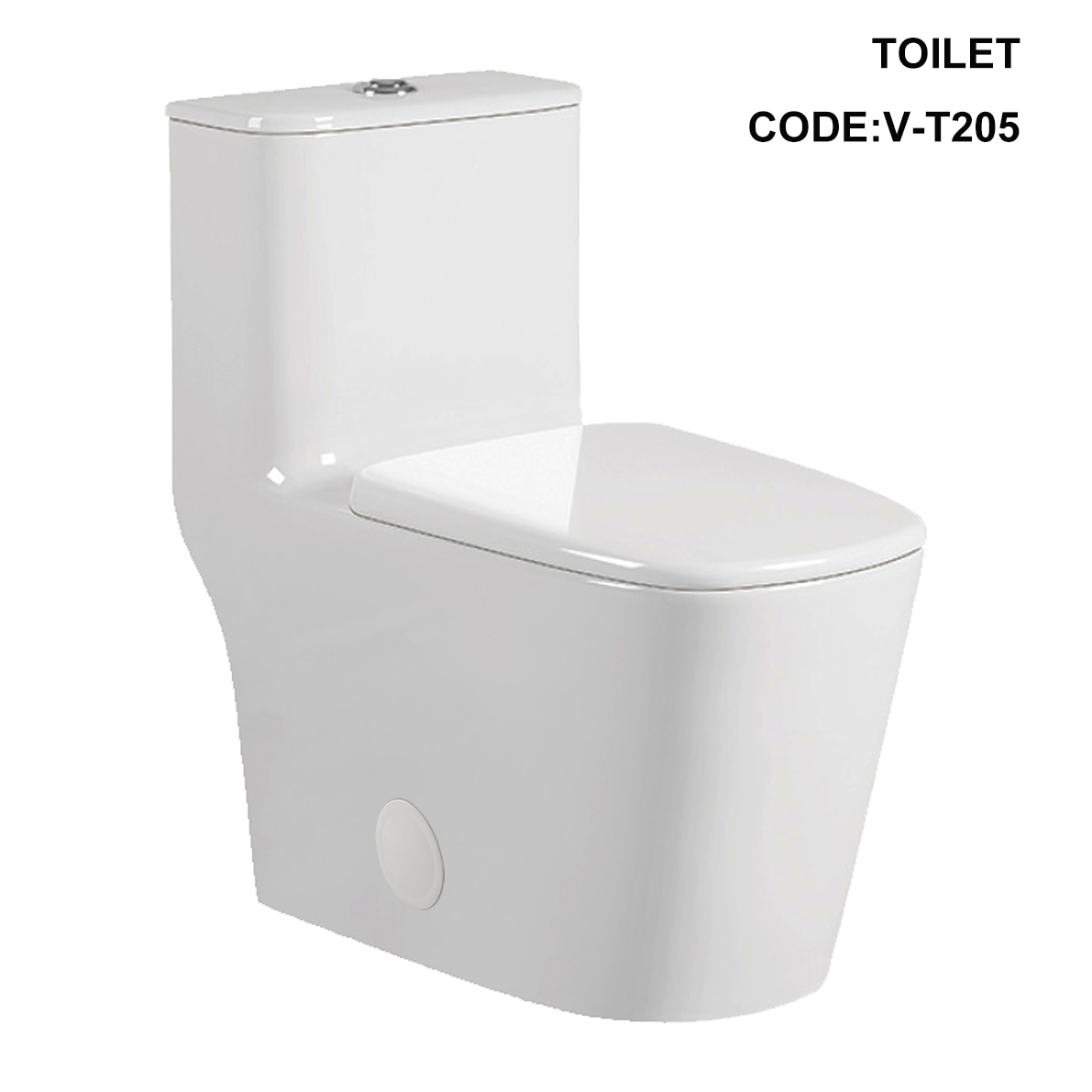 V-T205