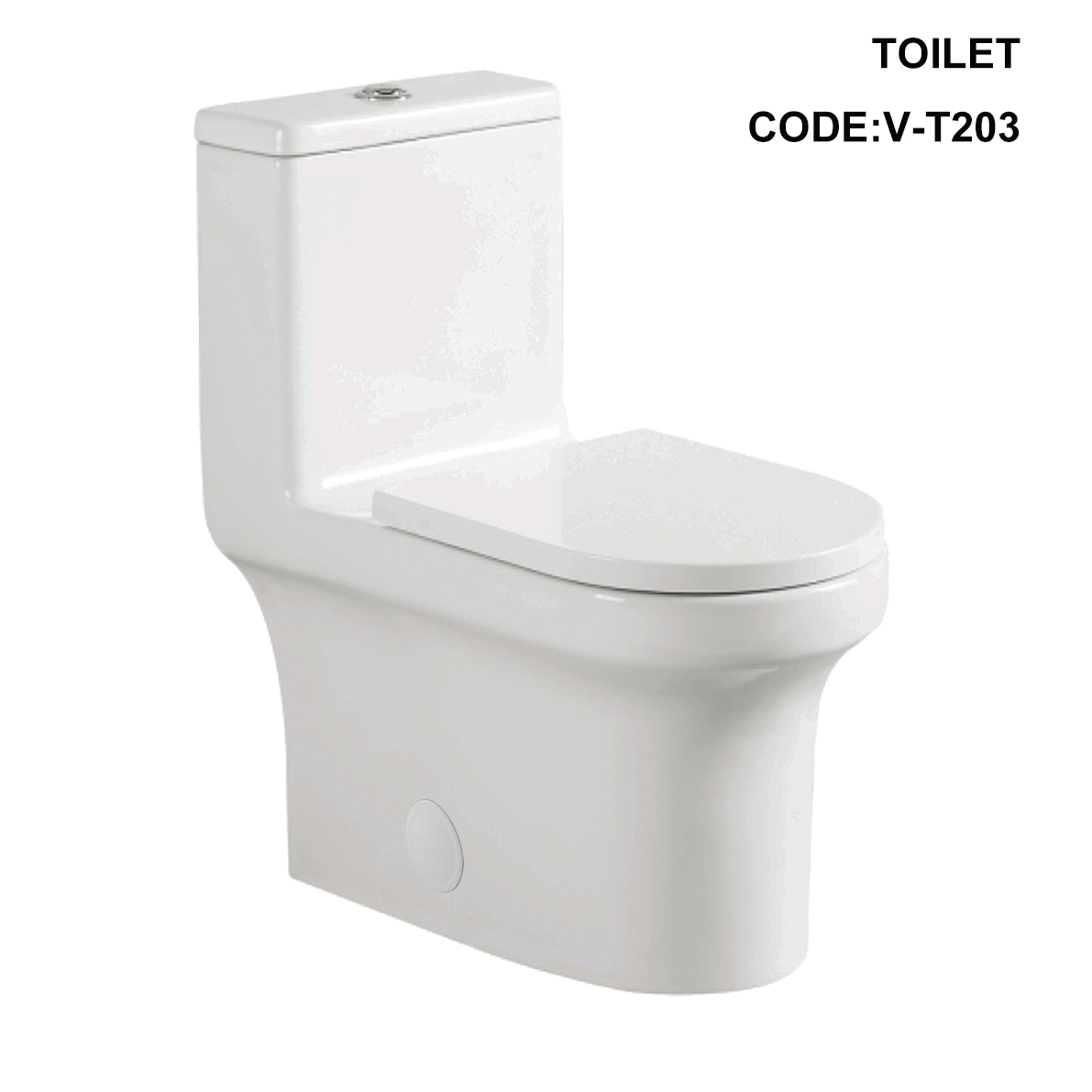 V-T203